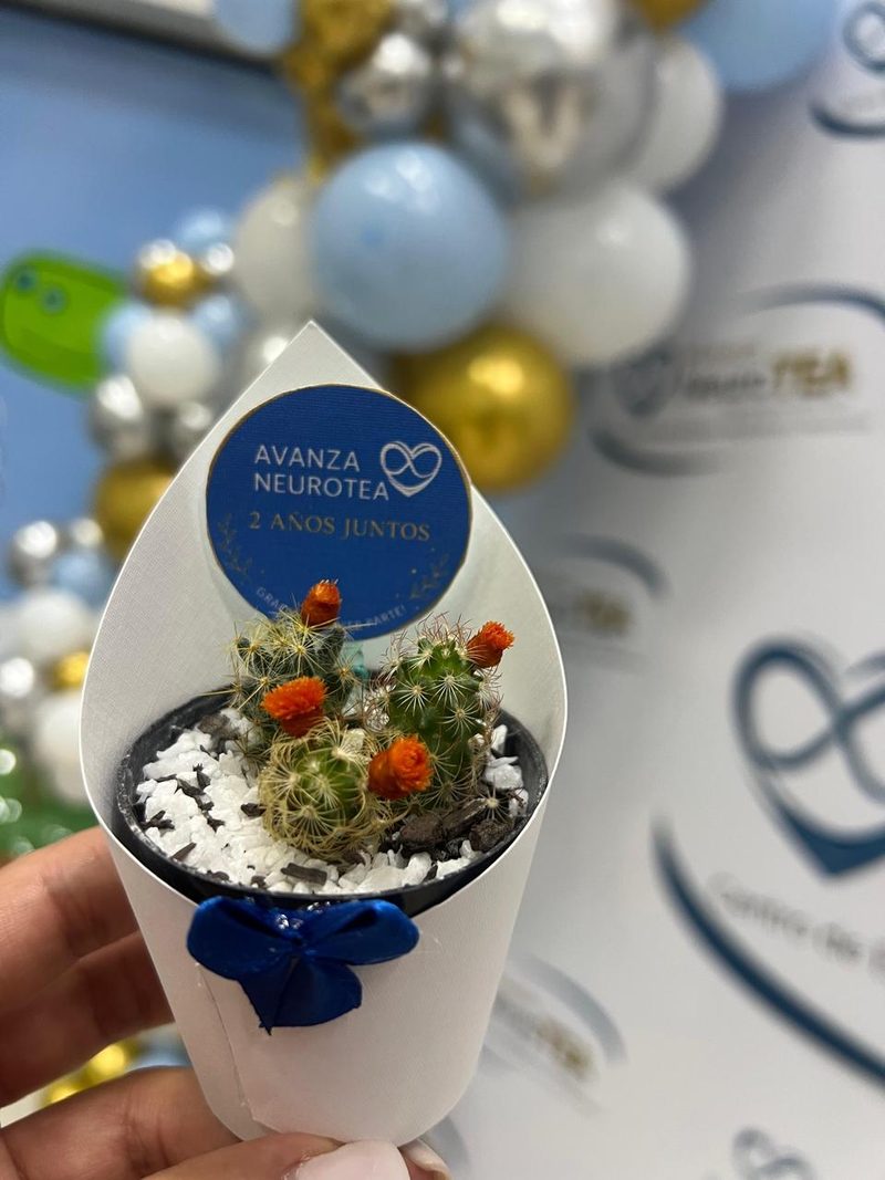 Un souvenir de los dos años de la clínica: un cactus en flor con una tarjeta que dice Avanza NeuroTEA, 2 años juntos