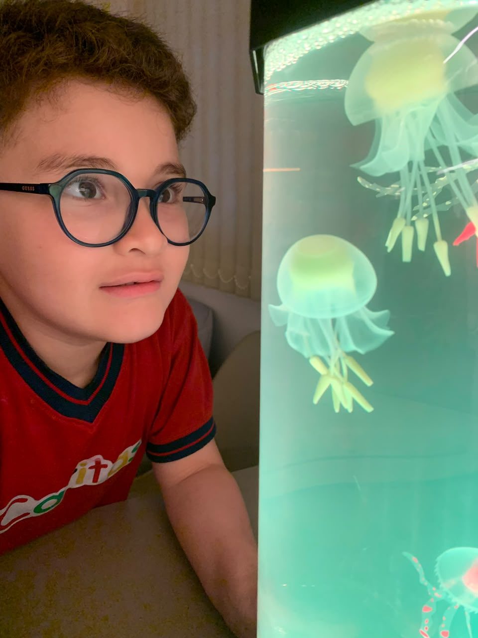 Un niño observa de cerca un acuario de medusas con luz suave en la sala sensorial